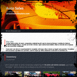 B&M Auto Sales